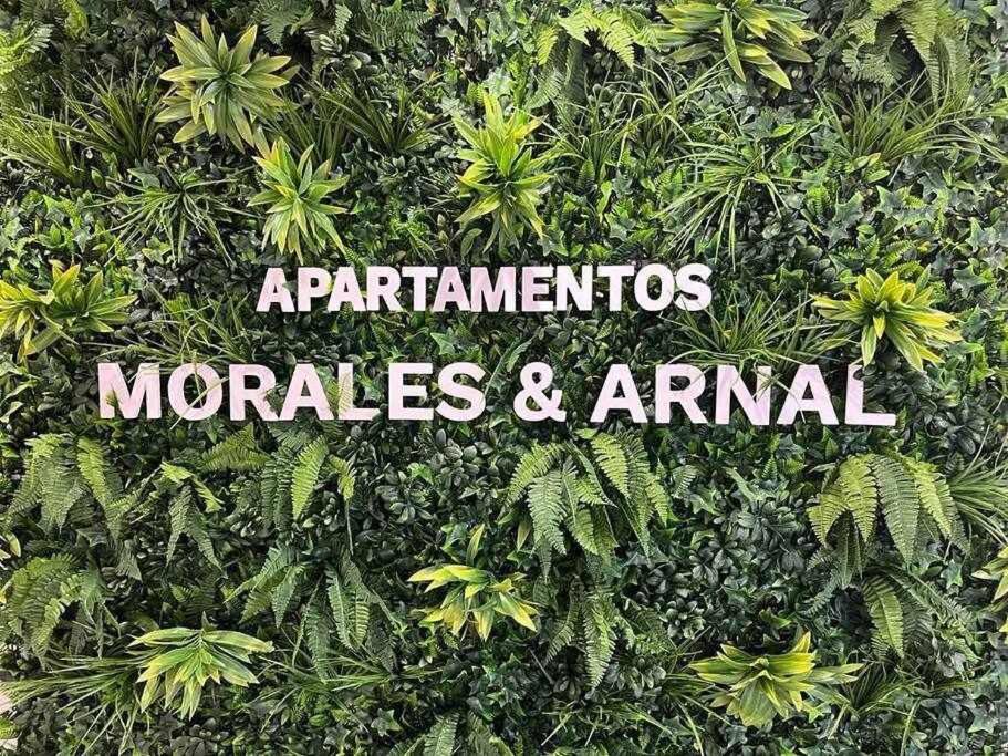 XX D Apartamentos Morales & Arnal Ronda Kültér fotó